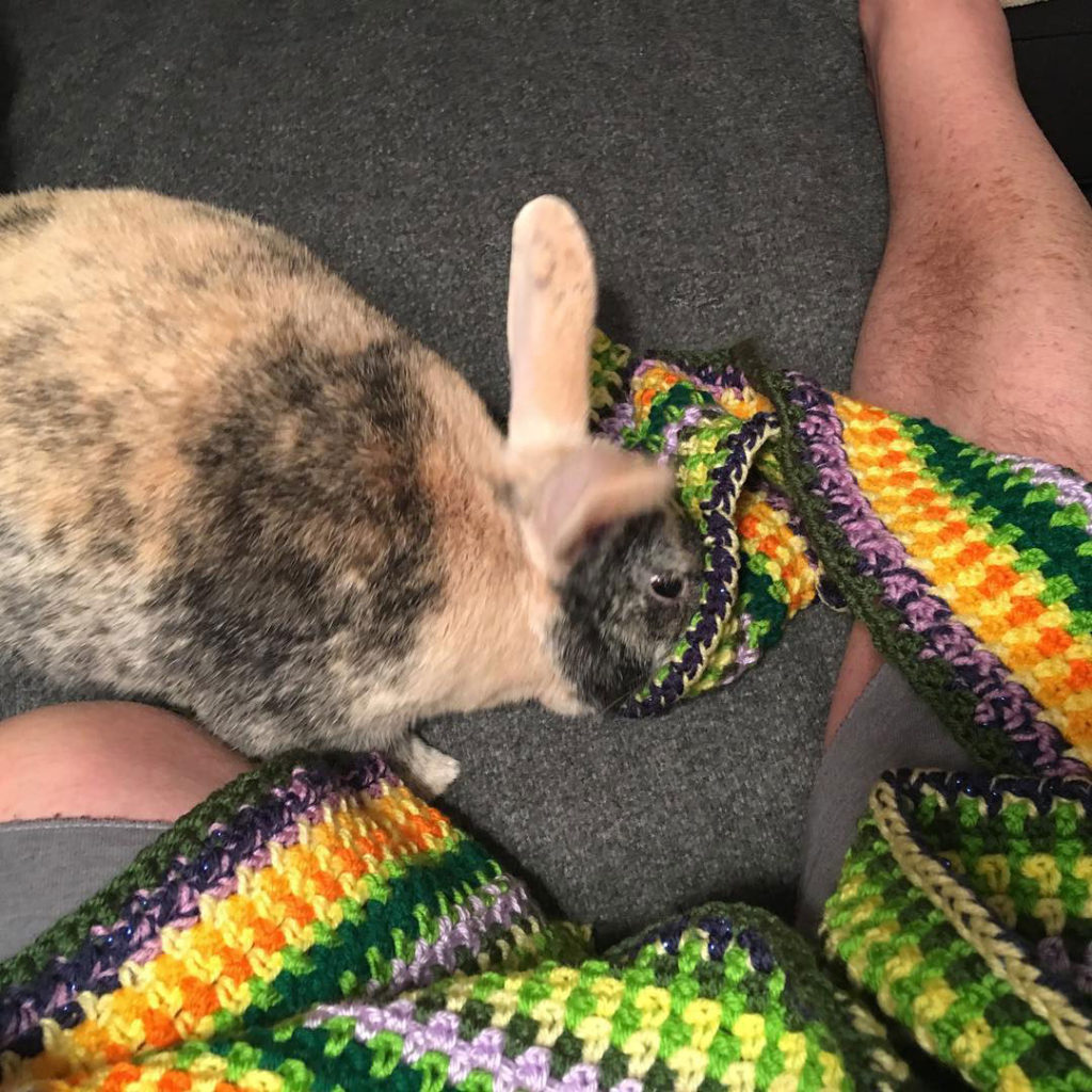 Bunbun and Myles Crocheting a Blanket